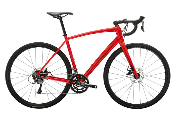 TREK Domane AL2 DISC 560mm HexBlue(2023) | BICYCLE PRO SHOP